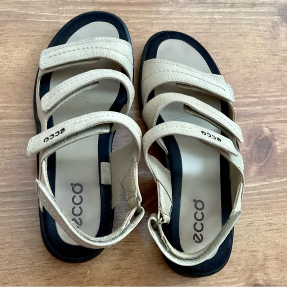 ecco velcro